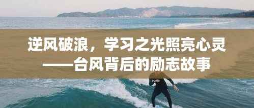 臺(tái)風(fēng)背后的勵(lì)志故事，逆風(fēng)破浪，學(xué)習(xí)之光照亮心靈