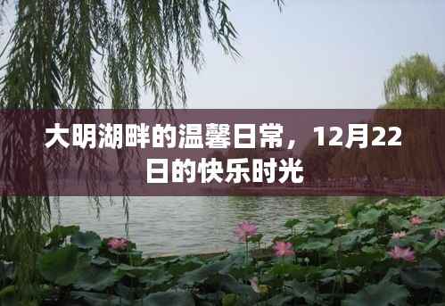 大明湖畔的溫馨日常，12月22日的快樂時(shí)光回顧