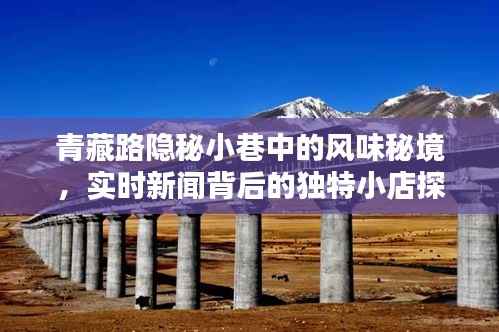 青藏路隱秘小巷美食探秘，實(shí)時(shí)新聞背后的獨(dú)特小店風(fēng)采