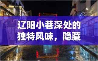 遼陽小巷深處的獨特風(fēng)味，天氣播報背后的驚喜美食小店