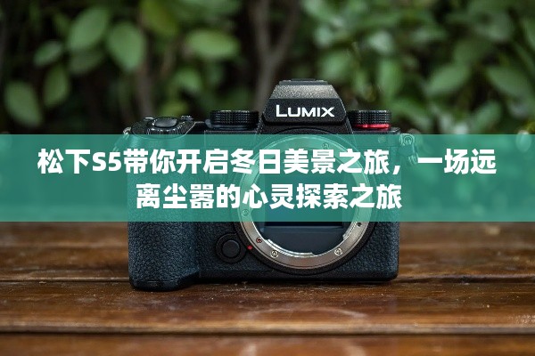 松下S5帶你領略冬日美景，心靈探索之旅啟程