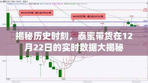 泰蜜帶貨12月22日實時數(shù)據(jù)大揭秘，歷史時刻的全面剖析