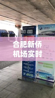 合肥新僑機(jī)場航班實(shí)時查詢指南，從基礎(chǔ)到精通的查詢攻略