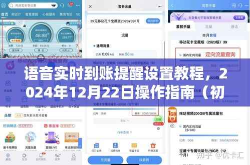 語音實時到賬提醒設(shè)置教程，初學(xué)者與進(jìn)階用戶操作指南（附日期，2024年12月22日）