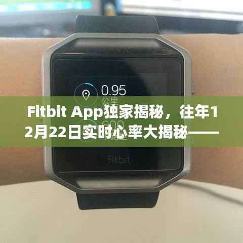 Fitbit App獨(dú)家揭秘，往年心率數(shù)據(jù)大解密，守護(hù)你的健康之路