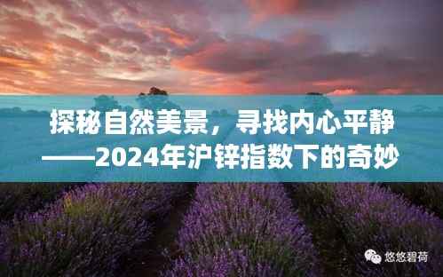 探秘自然美景，探尋內(nèi)心平靜，滬鋅指數(shù)下的奇妙旅程之旅