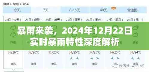 暴雨特性深度解析，實(shí)時解讀2024年12月22日暴雨來襲