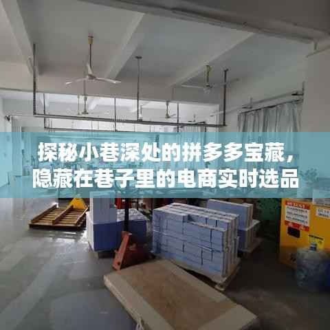 探秘小巷深處的拼多多寶藏，巷子里的電商選品軟件店