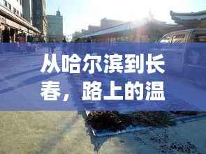 哈爾濱至長(zhǎng)春之旅，溫情與陪伴的旅程