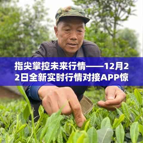 指尖掌控未來行情，全新實(shí)時(shí)行情對(duì)接APP 12月22日驚艷上線！