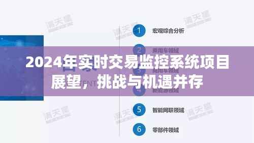 2024年實時交易監(jiān)控系統(tǒng)項目展望，挑戰(zhàn)與機遇的挑戰(zhàn)與機遇并存分析
