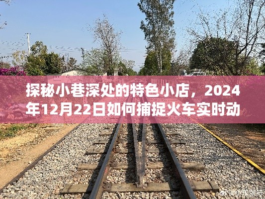 探秘小巷特色小店與火車實(shí)時(shí)動(dòng)態(tài)線路捕捉——2024年12月22日攻略