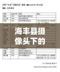海豐縣攝像頭下的觀察日記，2024年12月22日的記錄與洞察