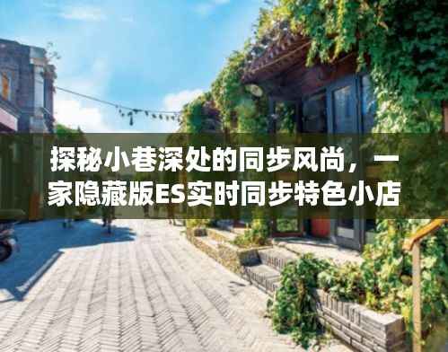 探秘小巷深處的隱藏版ES實(shí)時(shí)同步特色小店，同步風(fēng)尚的魅力之旅