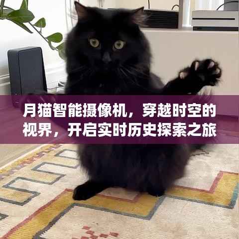 月貓智能攝像機，穿越時空的實時歷史探索之旅
