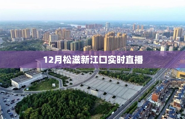 松滋新江口直播實(shí)況報(bào)道