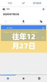 谷歌實(shí)時(shí)翻譯在特定日期的使用問題解析