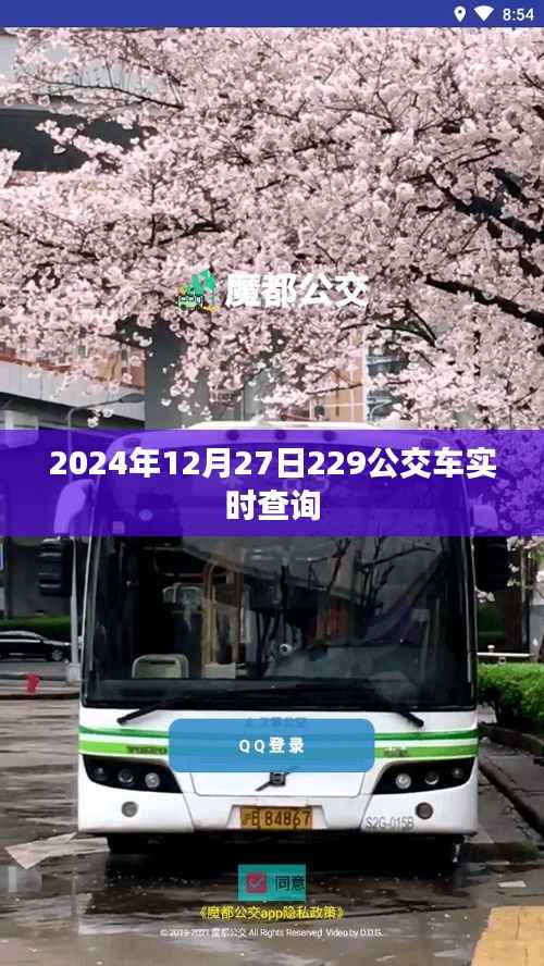 2024年12月27日公交查詢，229路實時動態(tài)