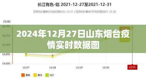 山東煙臺(tái)疫情實(shí)時(shí)數(shù)據(jù)圖（最新更新至2024年12月）