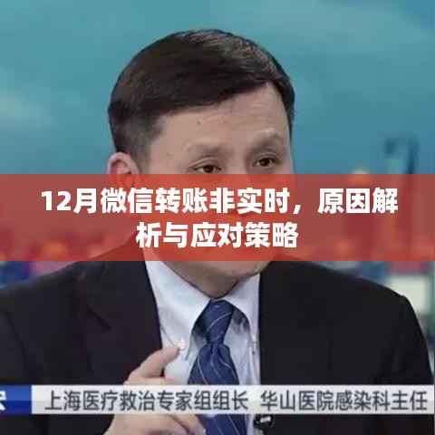 微信轉(zhuǎn)賬延遲原因解析及應(yīng)對(duì)策略