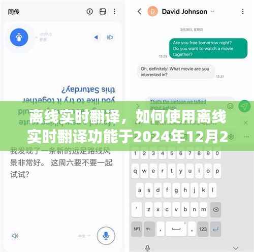離線實(shí)時(shí)翻譯功能使用指南，如何使用至2024年12月？