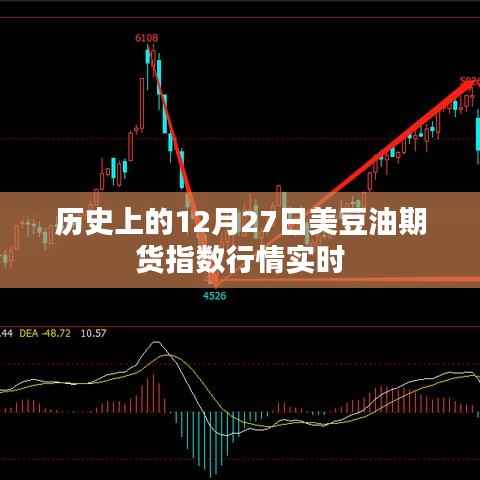 美豆油期貨指數(shù)行情實(shí)時(shí)播報(bào)，歷史視角下的市場分析