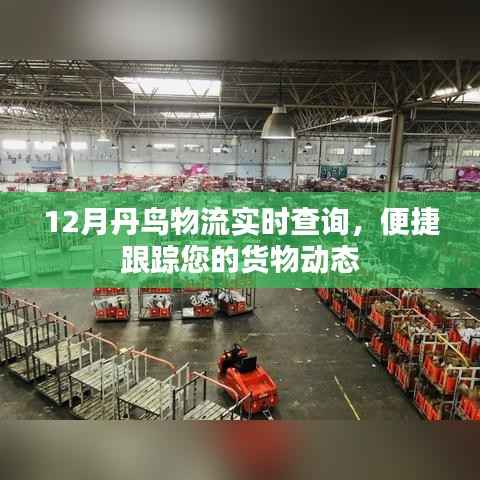 丹鳥物流實時查詢，貨物動態(tài)一鍵跟蹤