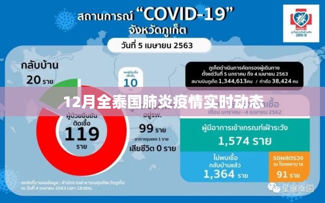 泰國十二月肺炎疫情實時追蹤與動態(tài)