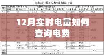 12月實(shí)時(shí)電量查詢與電費(fèi)賬單概覽