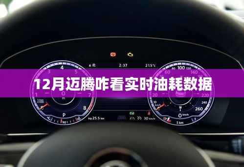 邁騰實(shí)時(shí)油耗查看指南，12月必備知識(shí)
