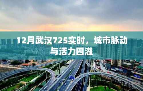 武漢城市脈動，活力四溢的十二月實時觀察