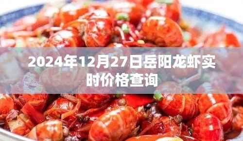 岳陽(yáng)龍蝦最新實(shí)時(shí)價(jià)格查詢（2024年12月27日）