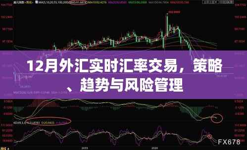 外匯實時匯率交易策略與風(fēng)險管理解析