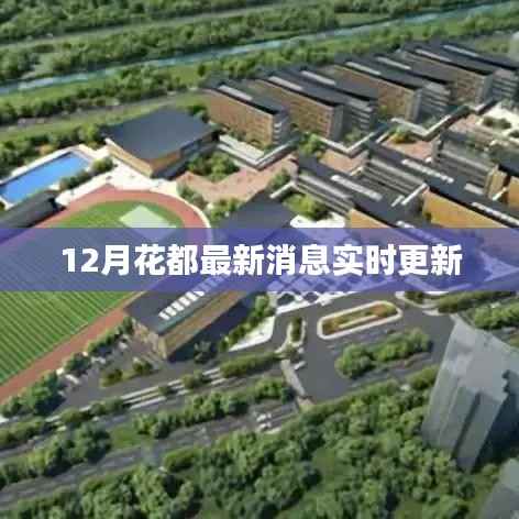 12月花都最新資訊，實時更新全掌握