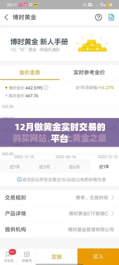 黃金實(shí)時(shí)交易平臺，把握交易機(jī)遇的首選