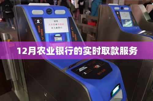 農(nóng)業(yè)銀行實(shí)時(shí)取款服務(wù)介紹