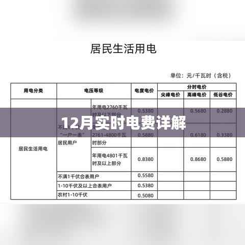 12月實(shí)時(shí)電費(fèi)解析