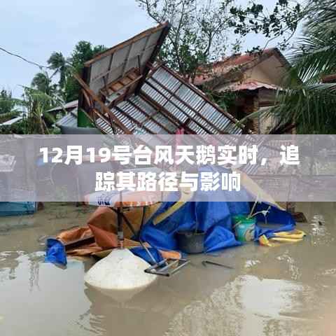 臺風(fēng)天鵝最新路徑及影響實(shí)時(shí)追蹤報(bào)道