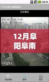 阜陽阜南路況實時直播，最新路況信息掌握在手