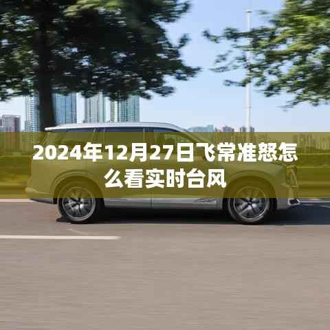 飛常準(zhǔn)實(shí)時(shí)臺(tái)風(fēng)查詢指南，如何查看臺(tái)風(fēng)動(dòng)態(tài)