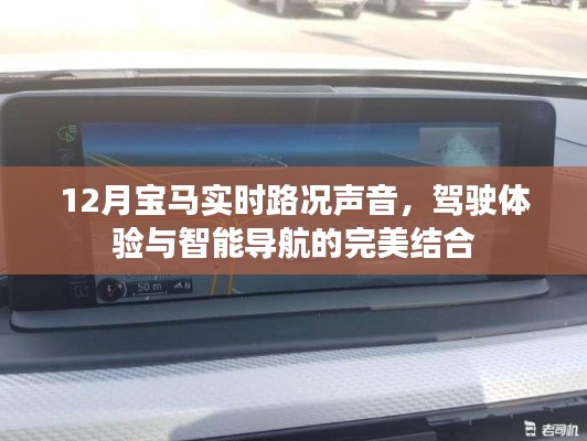 寶馬實時路況語音導(dǎo)航，駕駛體驗的智能升級