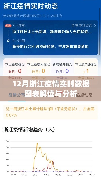 浙江疫情實(shí)時(shí)數(shù)據(jù)圖表解讀與分析報(bào)告