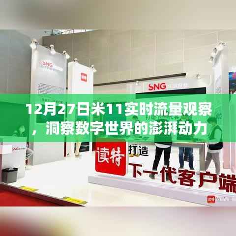 米11實時流量觀察，數(shù)字世界的澎湃動力揭秘，希望符合您的要求，您也可酌情調(diào)整。