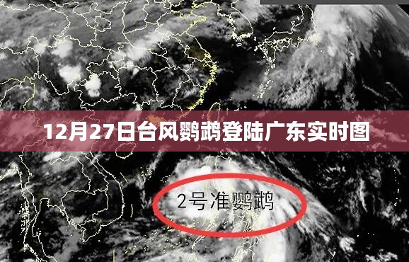 臺(tái)風(fēng)鸚鵡登陸廣東現(xiàn)場(chǎng)實(shí)拍圖，風(fēng)雨交加，緊急應(yīng)對(duì)