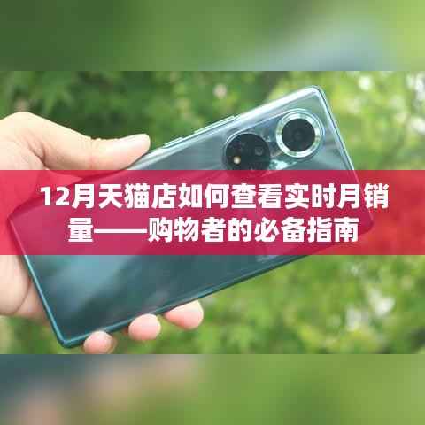 天貓店實(shí)時(shí)月銷量查看攻略，購(gòu)物指南