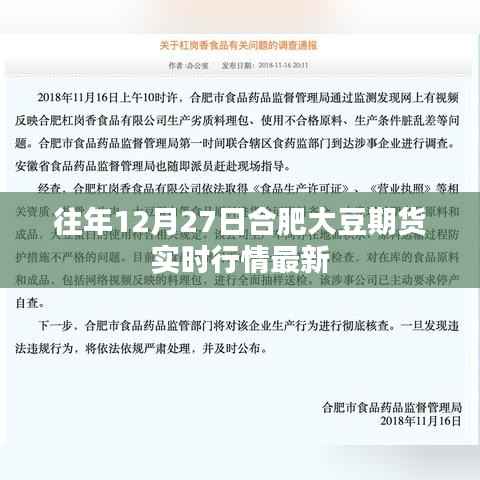 合肥大豆期貨實時行情更新，歷年12月27日最新動態(tài)