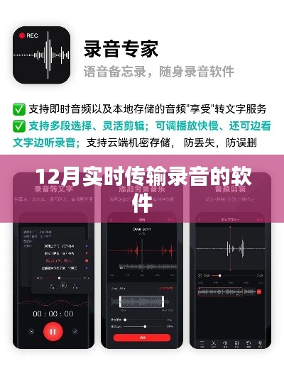實(shí)時(shí)錄音傳輸軟件，12月最新推薦