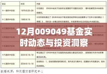 揭秘最新動態(tài)，12月009049基金投資洞察與實時走勢