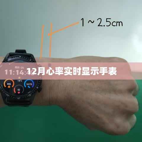 心率監(jiān)測手表實時顯示功能