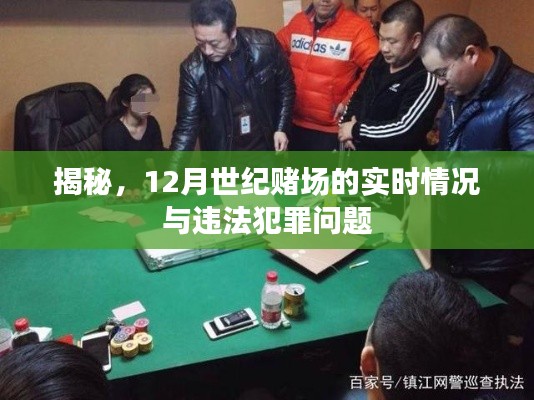 揭秘，世紀(jì)賭場最新動態(tài)與犯罪問題剖析